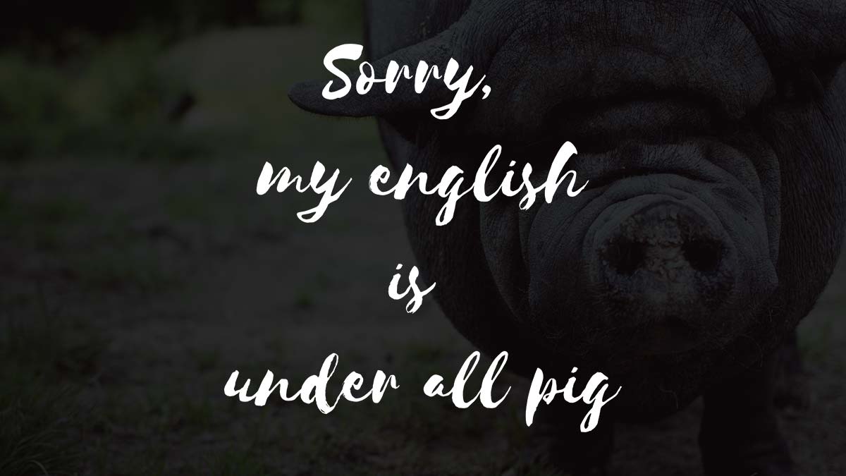 denglisch - sorry my english is under all pig